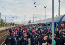 Szurkolói nélkül kénytelen játszani a Fradi