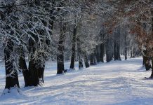 Szilveszter éjjel is havazhat! Mutatjuk, hol kell számítani csapadékra