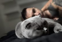 A macska ByeAlexnél marad! A szakítás után a pár döntött a cica sorsáról is.