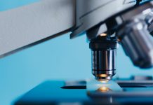 Sem oltás, sem gyógymód nincs ellene – halálos vírus terjed Indiában! Újabb világjárvány fenyeget?