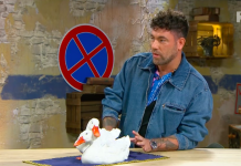 Ennyire nagy a baj? Krausz Gábor a nászajándékával jelent meg a Kincsvadászokban